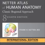 Netter Atlas Of Human Anatomy: 8th Edition, International Edition