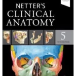 Netter's Clinical Anatomy, 5th Edition