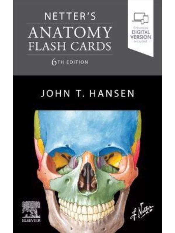 Netter's Anatomy Flash Cards, 6th Edition - Image 1