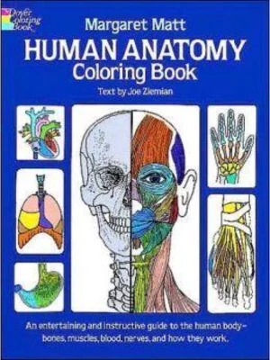 Human Anatomy Coloring Book