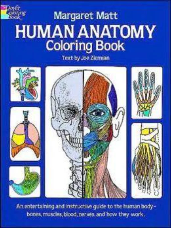 Human Anatomy Coloring Book - Image 1