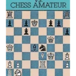 Chess Master Vs Chess Amateur