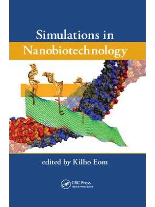 Simulations in Nanobiotechnology - Image 1