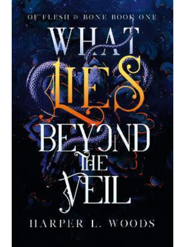 9781399711685 What Lies Beyond the Veil - Slika 1