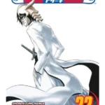 Bleach, Vol. 22