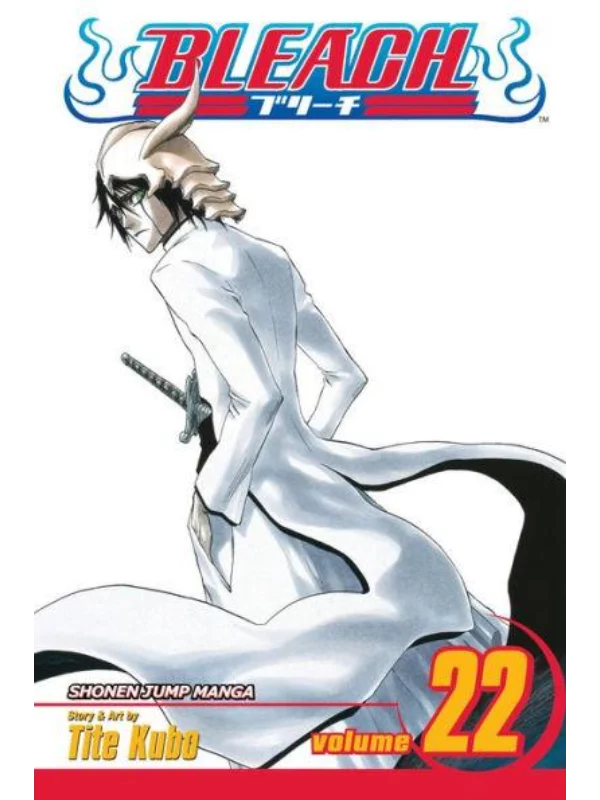 Bleach, Vol. 22 - Image 1