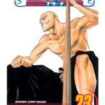Bleach, Vol. 23