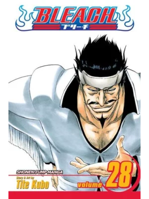 Bleach, Vol. 28 1