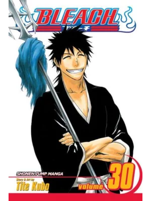 Bleach, Vol. 30