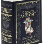 Gray's Anatomy (Barnes & Noble Collectible Classics: Omnibus Edition)
