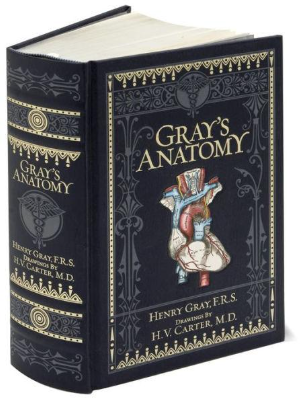 9781435167919 Gray's Anatomy (Barnes & Noble Collectible Classics: Omnibus Edition) - Slika 1
