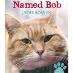 A Street Cat Named Bob : How one man and his cat found hope on the streets