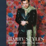 Harry Styles : and the clothes he wears