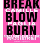 BREAK, BLOW, BURN