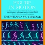 The Human Figure in Motion
