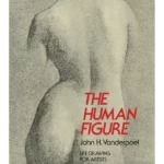 The Human Figure