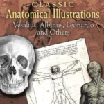 Classic Anatomical Illustrations