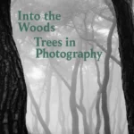 Into the Woods: Trees in Photography