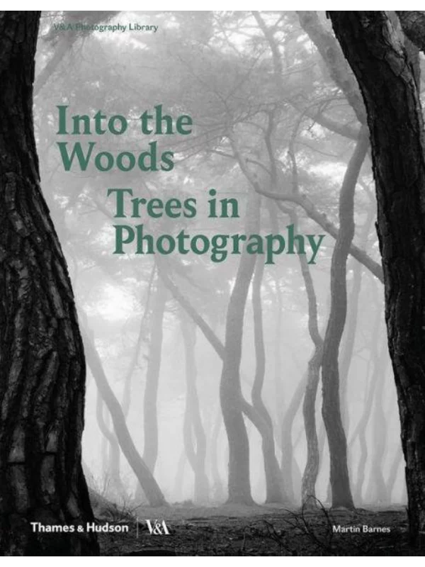 Into the Woods: Trees in Photography 1