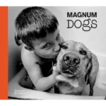 Magnum Dogs