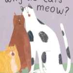 Why do cats meow? : Curious Questions about Your Favourite Pet