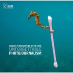 Wildlife Photographer of the Year: Unfor
