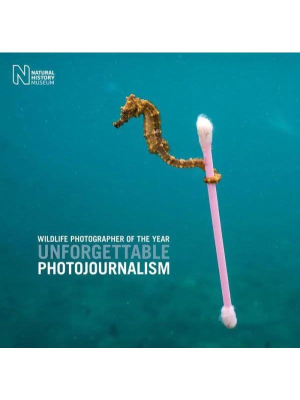 Wildlife Photographer of the Year: Unfor - Image 1