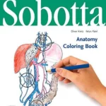 Sobotta Anatomy Coloring Book Englisch/Latein