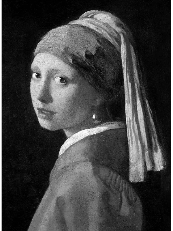 Vermeer 1