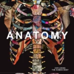 Anatomy Exploring the Human Body