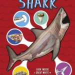 Inside Out Shark