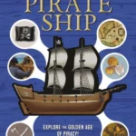 Inside Out Pirate Ship