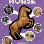 Inside Out Horse