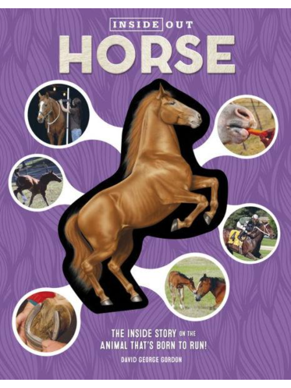 9780760368855 Inside Out Horse - Slika 1