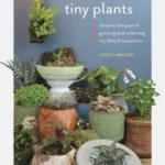 Tiny Plants Discover the joys of growing and collecting itty bitty houseplants