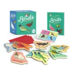 Birds: A Wooden Magnet Set