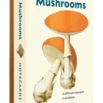 Mushrooms Detailed Notecard Set