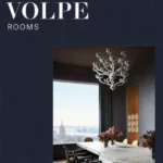 Rooms : Steven Volpe