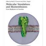 Molecular Simulations and Biomembranes: From Biophysics to Function: Volume 20
