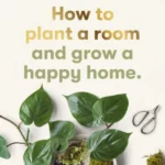 How to plant a room : and grow a happy home