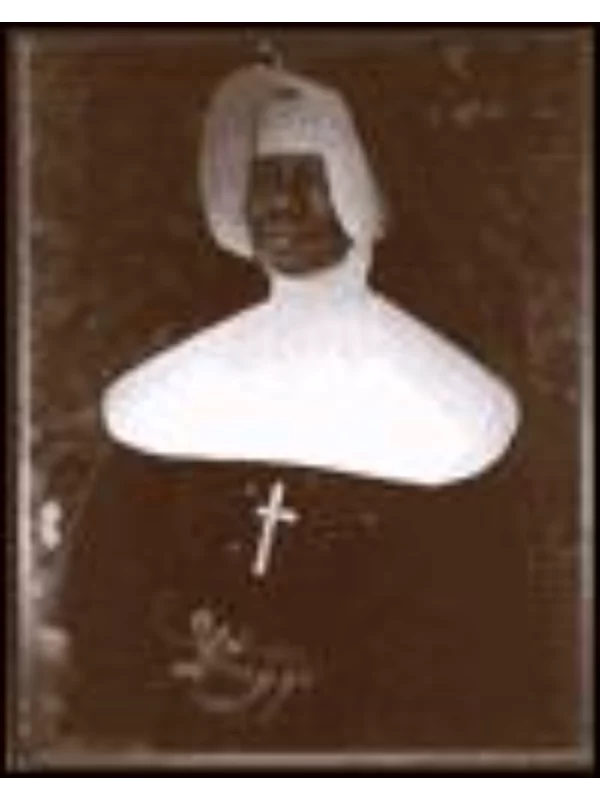In Focus - Image 1