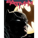 Batman Vol. 1: I Am Gotham (Rebirth)
