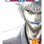 Bleach, Vol. 25