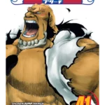 Bleach, Vol. 41
