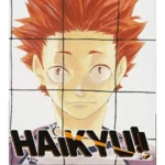 Haikyu!!, Vol. 20           Pa