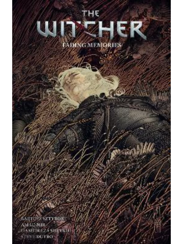 The Witcher Volume 5: Fading Memories - Image 1