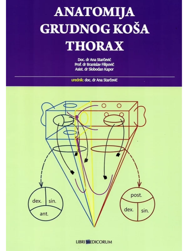 Anatomija grudnog koša : thorax - Image 1