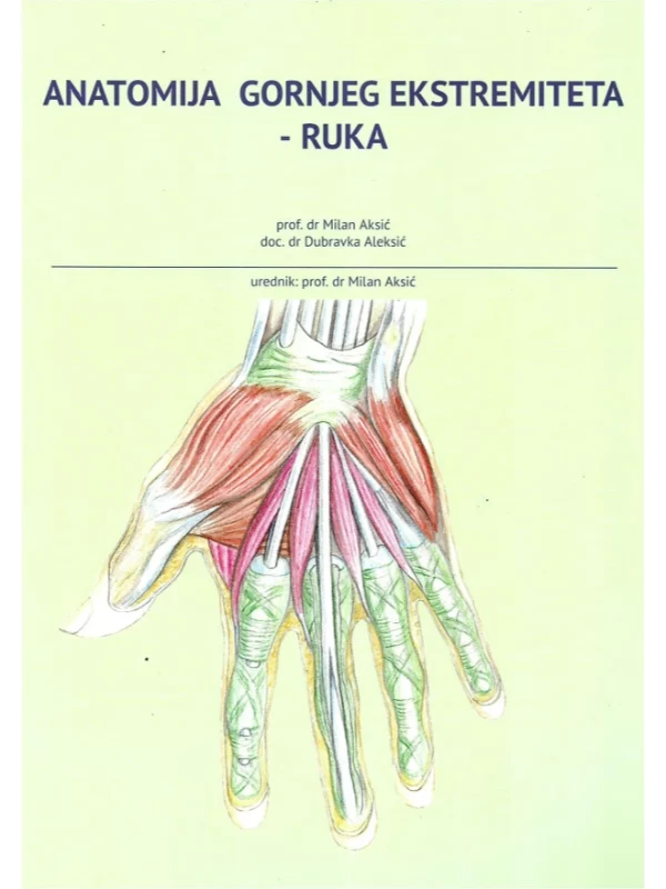 Anatomija gornjeg ekstremiteta : ruka - Image 1