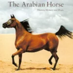 The Arabian Horse - History  Mystery and