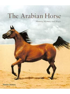 The Arabian Horse - History Mystery and